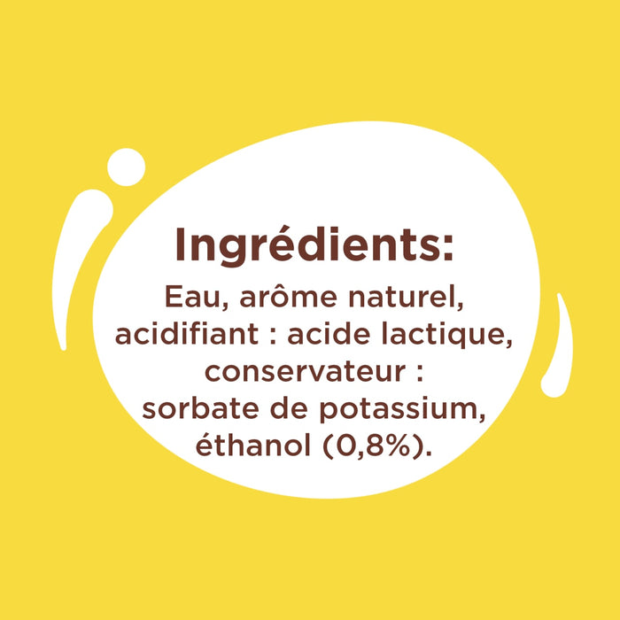 L'image présente une liste d'ingrédients comprenant de l'eau, un arôme naturel, de l'acide lactique, du sorbate de potassium et de l'éthanol (0,8%).
