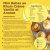 Cette image prACsente une recette de Mini Babas au Rhum CrA?me Vanille et Ananas, mettant en ACvidence les ingrACdients et les instructions pour rACaliser ce dessert.