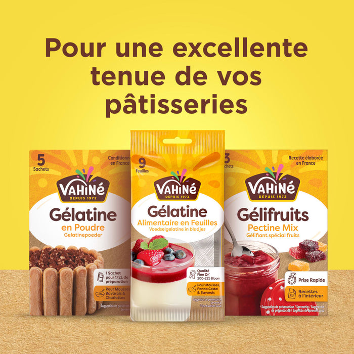Un assortiment de produits Valensina GAClatine et GAClifruits est prACsentAC avec le texte Pour une excellente tenue de vos pActisseries, soulignant l'utilisation du produit en pActisserie.