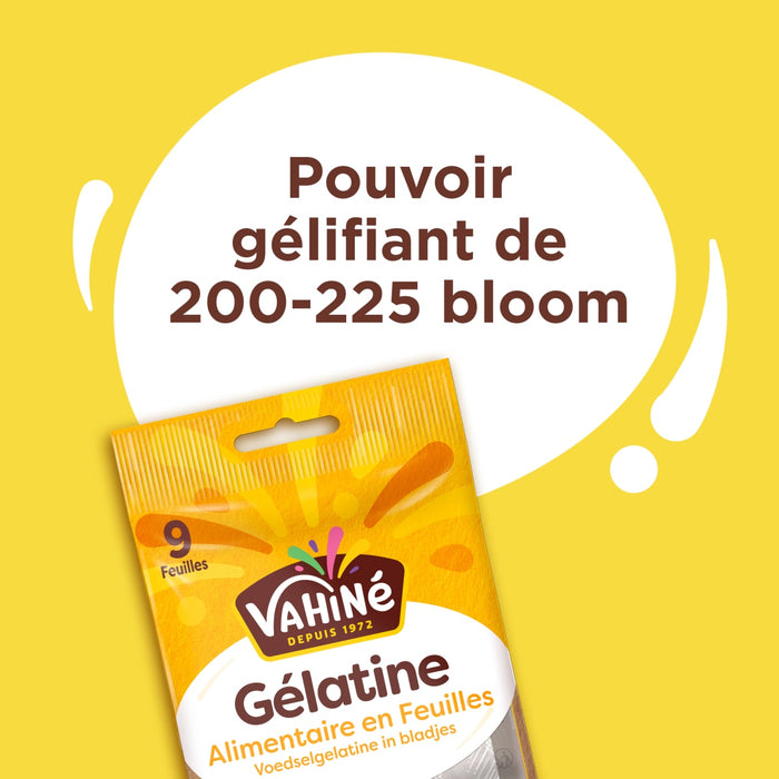 L'emballage de VahinAC GAClatine est prACsentAC, soulignant son pouvoir gAClifiant de 200-225 bloom.