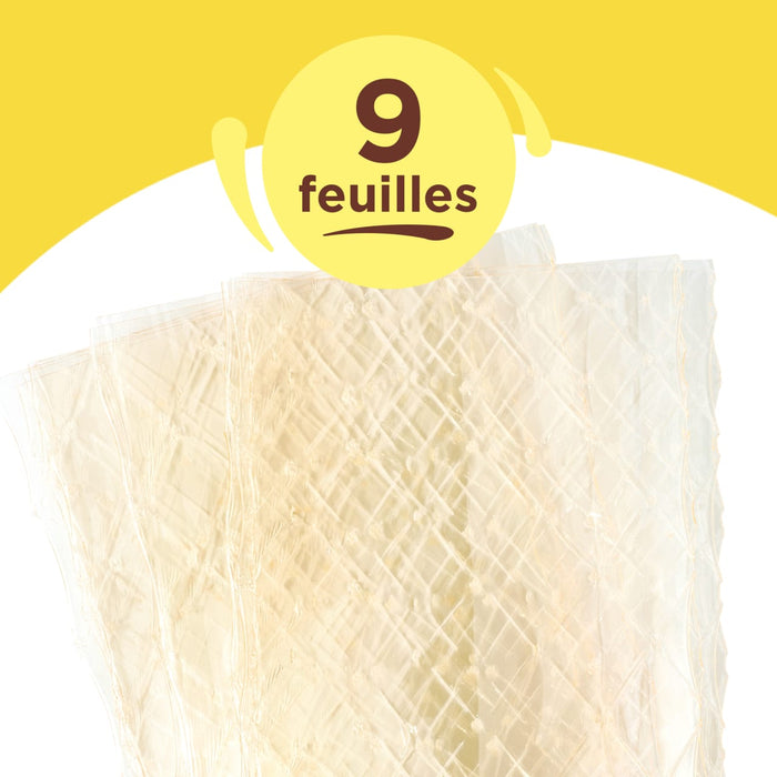 Une pile de neuf feuilles de gAClatine est montrACe, indiquant la quantitAC du produit.