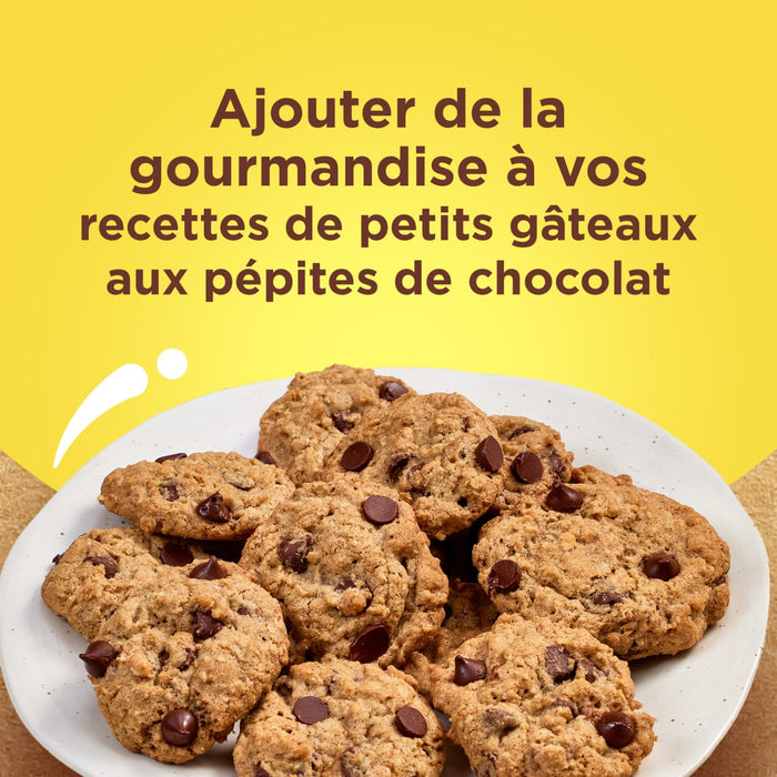 Des biscuits aux pépites de chocolat Nestlé sont présentés sur une assiette, vous invitant à ajouter de la gourmandise à vos recettes.