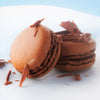 Deux macarons au chocolat sont prACsentACs avec des copeaux de chocolat, soulignant leur saveur riche et leur prACsentation AClACgante.