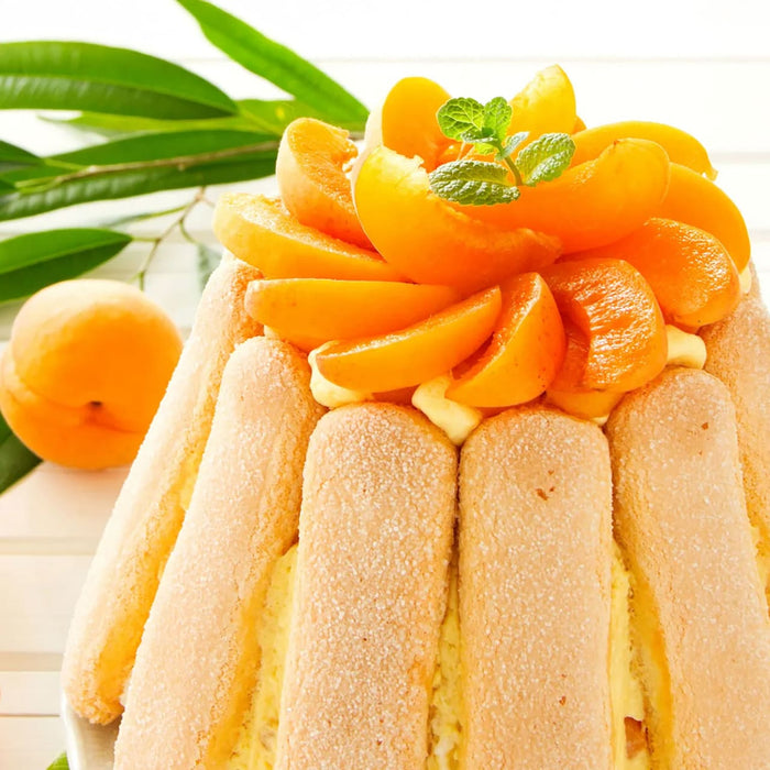 Un dAClicieux gActeau Charlotte aux abricots est dACcorAC de tranches d'abricots frais et de feuilles de menthe.