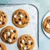 Cette image de recette phare, issue de la collection Vahine Nutritional Ingredients And Hero Recipe Images, présente un bol appétissant de crème glacée au chocolat et à la vanille, nappée de sauce au chocolat et de morceaux de brownie.