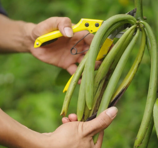 Agriculture responsable