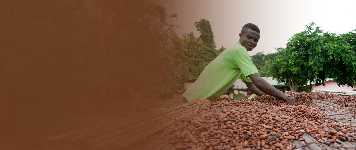 cacao