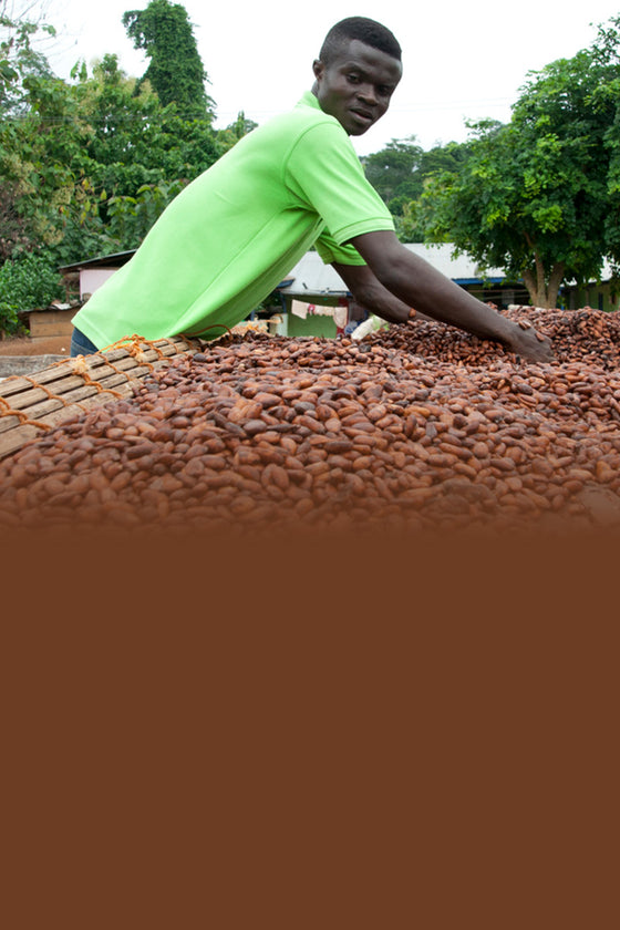cacao