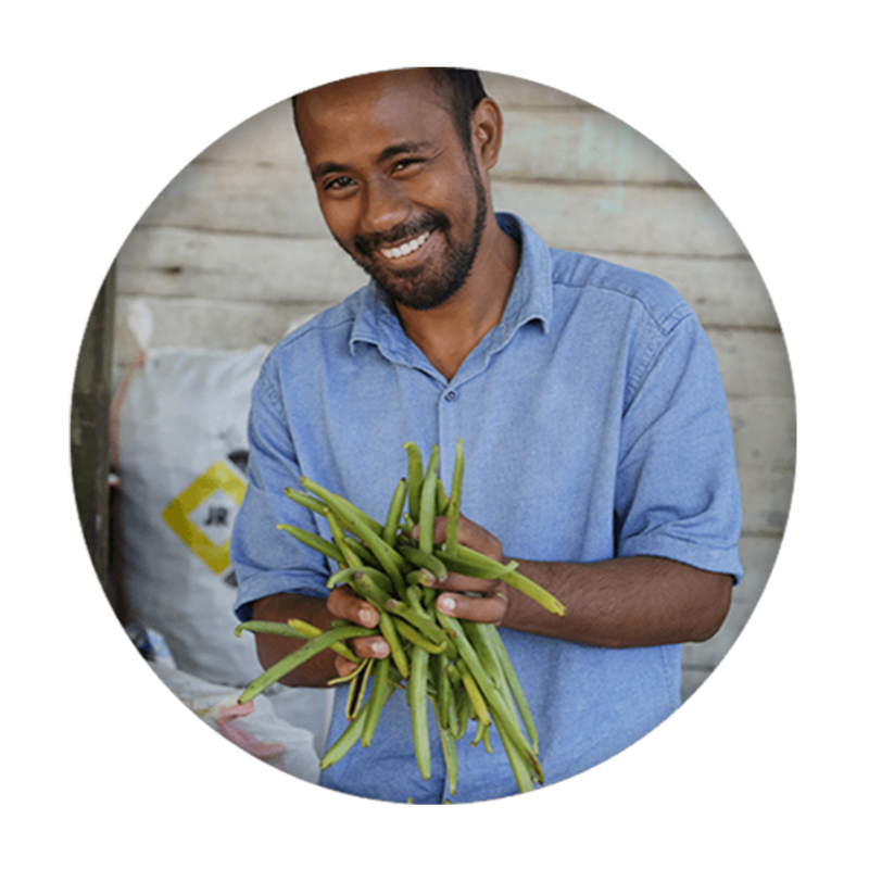 Agriculteur vanille de madagascar