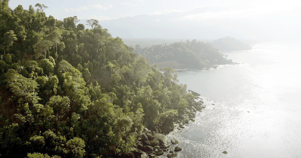 La vanille Grand Cru vous invite au voyage