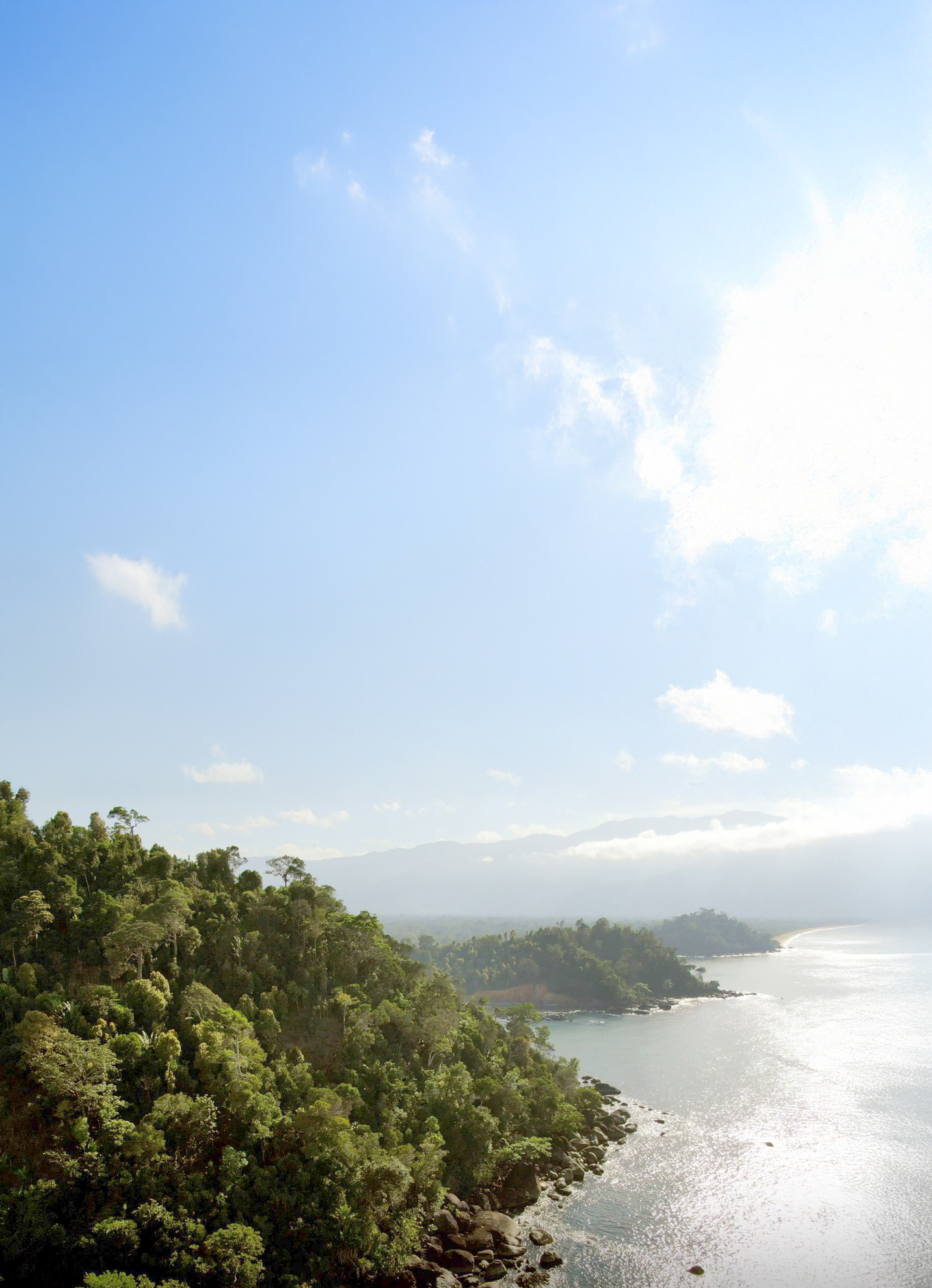 La vanille Grand Cru vous invite au voyage
