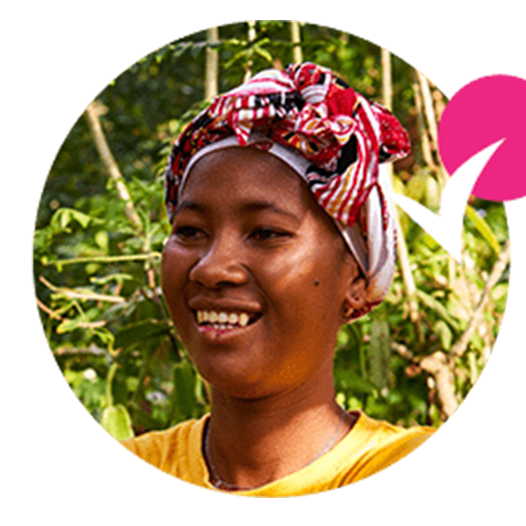 Producteurs de cacao