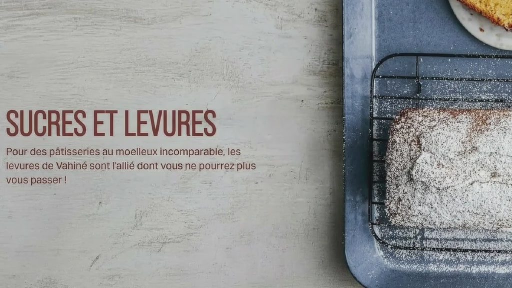 Sucres Et Levures