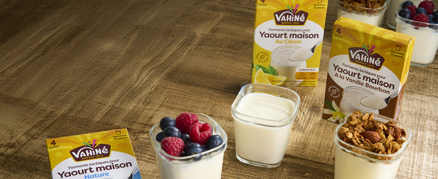 Yaourt maison Nature, Yaourt maison au Citron et Yaourt maison a la Vanille Bourbon
