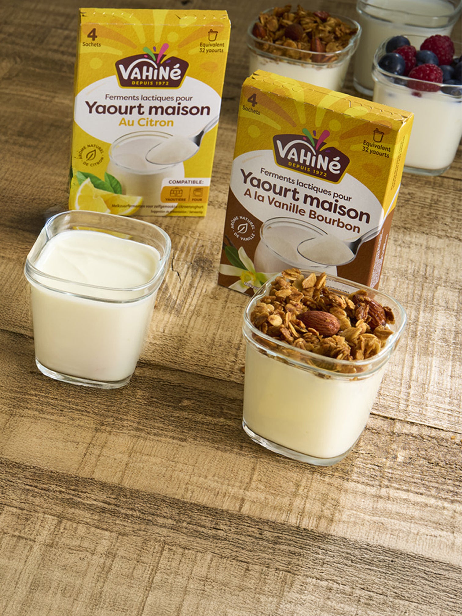 Yaourts Maison a la Vanille Bourbon et Yaourts Maison au Citron