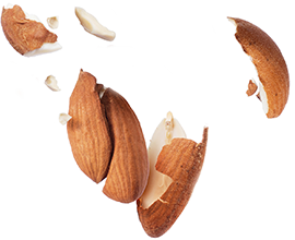ornament image
